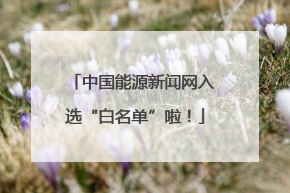 中国能源新闻网入选“白名单”啦！