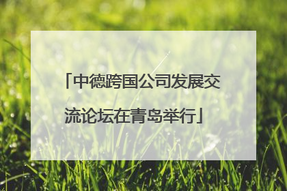 中德跨国公司发展交流论坛在青岛举行