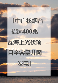 中广核烟台招远400兆瓦海上光伏项目全容量并网发电