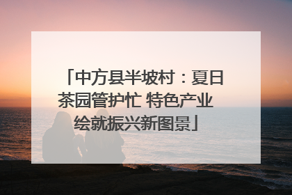 中方县半坡村：夏日茶园管护忙 特色产业绘就振兴新图景