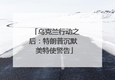 乌克兰行动之后：特朗普沉默 美特使警告