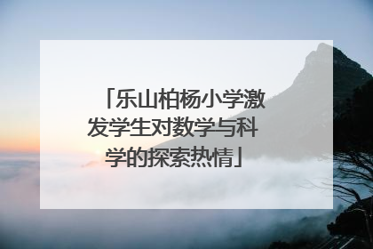 乐山柏杨小学激发学生对数学与科学的探索热情