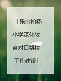 乐山柏杨小学深化教育对口帮扶工作建设