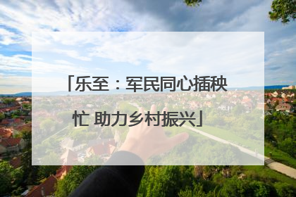 乐至：军民同心插秧忙 助力乡村振兴