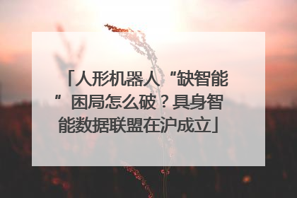 人形机器人“缺智能”困局怎么破？具身智能数据联盟在沪成立