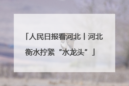 人民日报看河北丨河北衡水拧紧“水龙头”