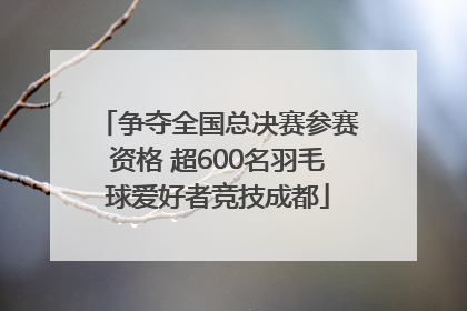 争夺全国总决赛参赛资格 超600名羽毛球爱好者竞技成都