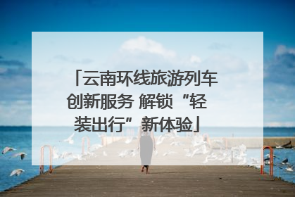 云南环线旅游列车创新服务 解锁“轻装出行”新体验