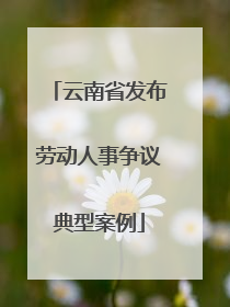 云南省发布劳动人事争议典型案例