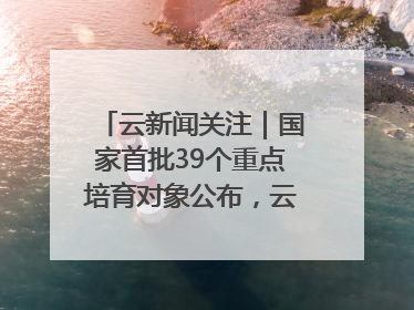 云新闻关注｜国家首批39个重点培育对象公布，云南有3个