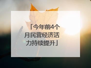 今年前4个月民营经济活力持续提升