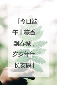 今日端午丨粽香飘春城，岁岁年年长安康