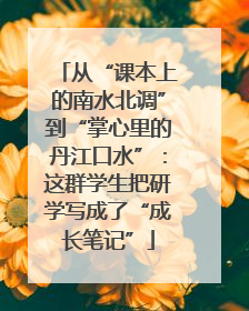 从“课本上的南水北调”到“掌心里的丹江口水”：这群学生把研学写成了“成长笔记”