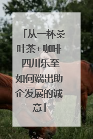 从一杯桑叶茶+咖啡 四川乐至如何端出助企发展的诚意