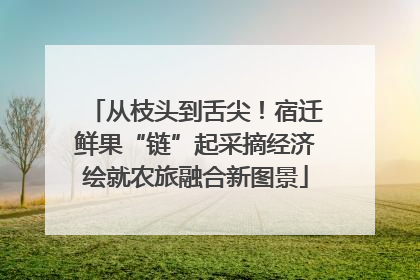 从枝头到舌尖！宿迁鲜果“链”起采摘经济绘就农旅融合新图景