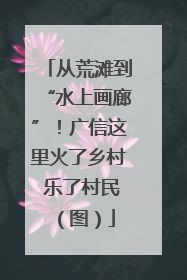 从荒滩到“水上画廊”！广信这里火了乡村 乐了村民（图）