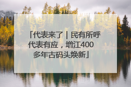 代表来了｜民有所呼代表有应，增江400多年古码头焕新