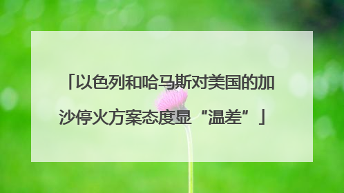 以色列和哈马斯对美国的加沙停火方案态度显“温差”