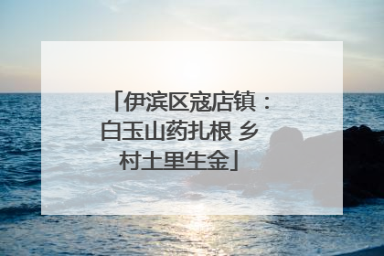 伊滨区寇店镇：白玉山药扎根 乡村土里生金