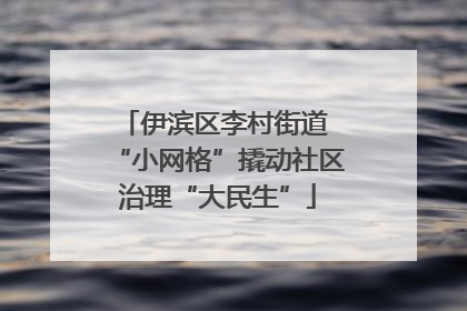 伊滨区李村街道 “小网格”撬动社区治理“大民生”