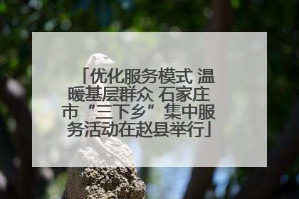 优化服务模式 温暖基层群众 石家庄市“三下乡”集中服务活动在赵县举行