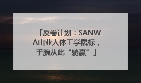 反卷计划：SANWA山业人体工学鼠标，手腕从此“躺赢”