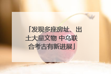 发现多座房址、出土大量文物 中乌联合考古有新进展
