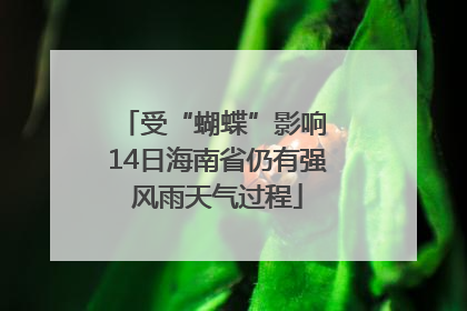 受“蝴蝶”影响 14日海南省仍有强风雨天气过程