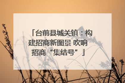 台前县城关镇：构建招商新图景 吹响招商“集结号”