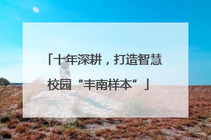 十年深耕，打造智慧校园“丰南样本”
