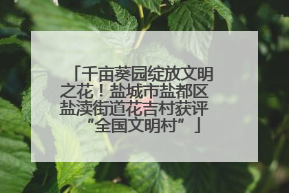 千亩葵园绽放文明之花！盐城市盐都区盐渎街道花吉村获评“全国文明村”
