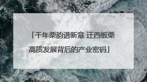 千年栗韵谱新章 迁西板栗高质发展背后的产业密码