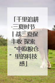 千里追耕·三夏时节丨战三夏保丰收 探索“中原粮仓”里的科技感
