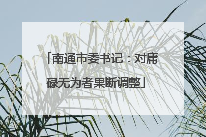 南通市委书记：对庸碌无为者果断调整