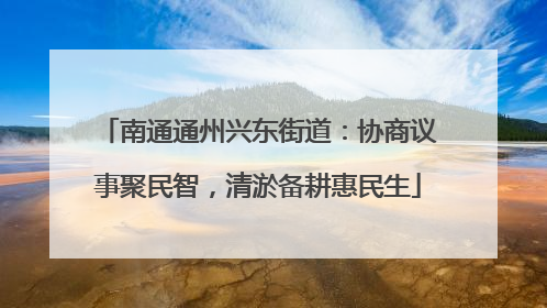 南通通州兴东街道：协商议事聚民智，清淤备耕惠民生