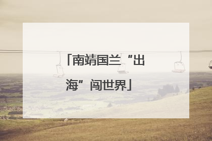 南靖国兰“出海”闯世界