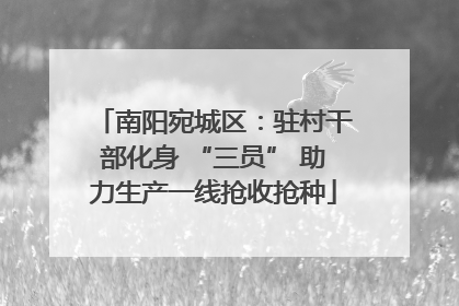 南阳宛城区：驻村干部化身 “三员” 助力生产一线抢收抢种