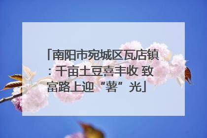 南阳市宛城区瓦店镇：千亩土豆喜丰收 致富路上迎“薯”光