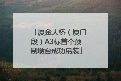 厦金大桥（厦门段）A3标首个预制墩台成功吊装