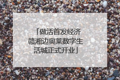 做活首发经济 赣湘边奥莱数字生活城正式开业