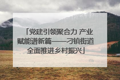 党建引领聚合力 产业赋能谱新篇——刁镇街道全面推进乡村振兴