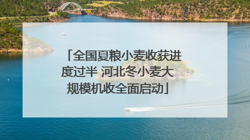 全国夏粮小麦收获进度过半 河北冬小麦大规模机收全面启动