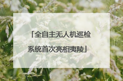全自主无人机巡检系统首次亮相夷陵