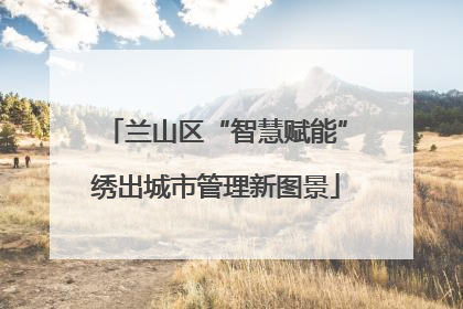 兰山区“智慧赋能”绣出城市管理新图景