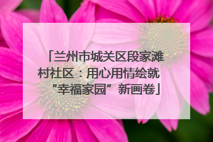 兰州市城关区段家滩村社区：用心用情绘就“幸福家园”新画卷