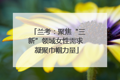 兰考：聚焦“三新”领域女性需求 凝聚巾帼力量