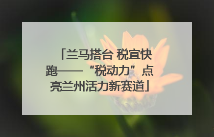 兰马搭台 税宣快跑——“税动力”点亮兰州活力新赛道