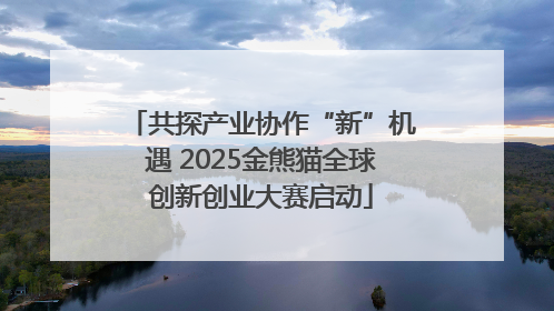 共探产业协作“新”机遇 2025金熊猫全球创新创业大赛启动