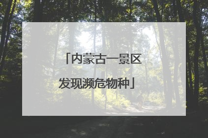 内蒙古一景区发现濒危物种
