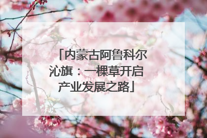 内蒙古阿鲁科尔沁旗：一棵草开启产业发展之路